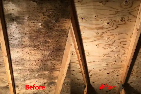water damage restoration service Interlaken